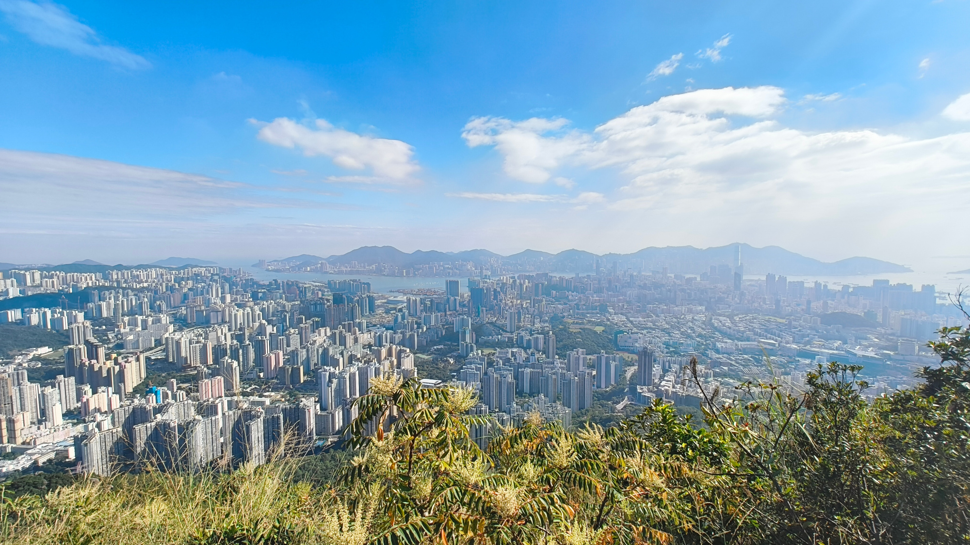 Lion Rock Hike